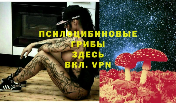 гидропоника Балахна