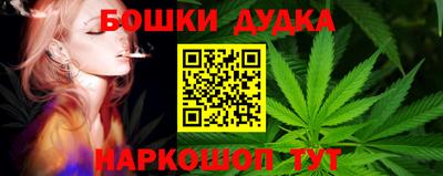 крисы Балаково
