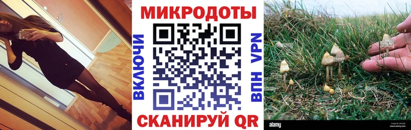 Псилоцибиновые грибы прущие грибы  ОМГ ОМГ сайт  Воскресенск 